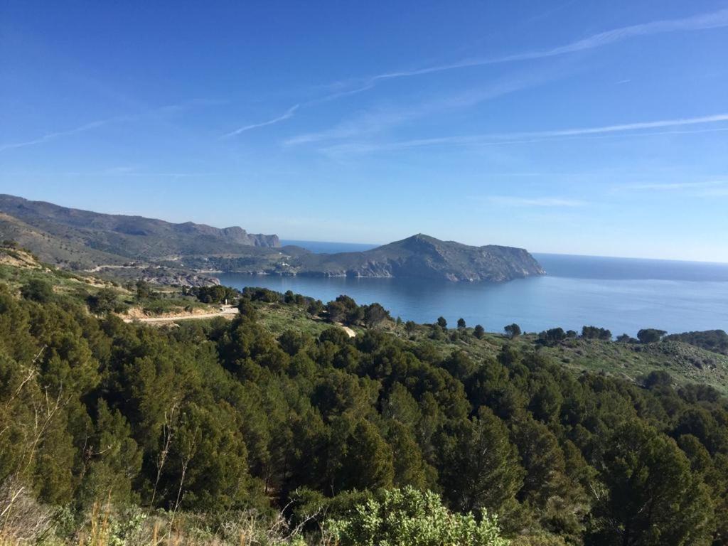 Casa Els Grecs Villa Roses Bagian luar foto